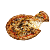 LA FUNGHI