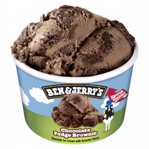 B&J Fudge Brownie