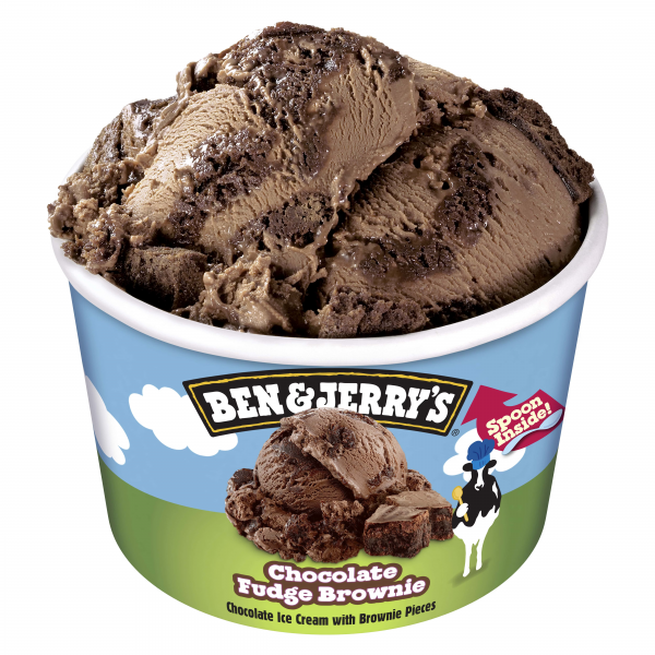 B&J Fudge Brownie