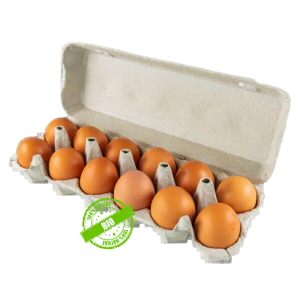 Œufs Bio x12